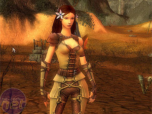 Guild Wars Graphics 1