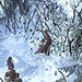 Chronicles of Narnia: Developer Q&A