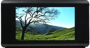 BrightSide DR37-P HDR display