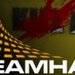 Dreamhack Winter 2005 Preview