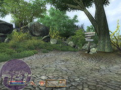 The Elder Scrolls IV: Oblivion Graphics details