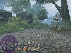 The Elder Scrolls IV: Oblivion Graphics details