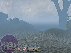 The Elder Scrolls IV: Oblivion Graphics details
