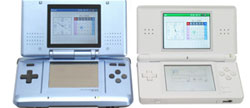 Nintendo DS Lite