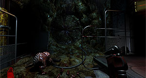 Prey