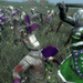Medieval 2 Total War