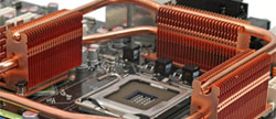 Asus Striker Extreme