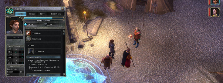 Neverwinter Nights 2 You and your team