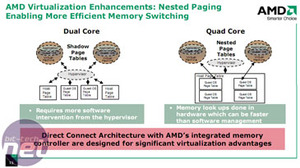 AMD Phenom and Quad Core Opteron DEVs, TLBs and Carrie-Anne Moss?
