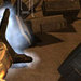 CellFactor: Revolution