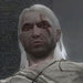 The Witcher