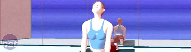 Wii Fit  The Balance Board