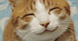 The Economy of Happiness