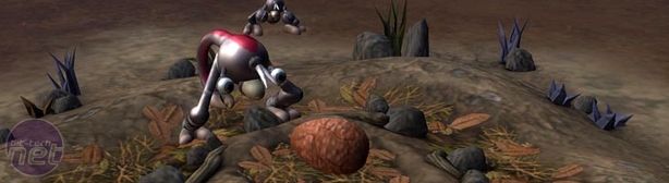 Spore
