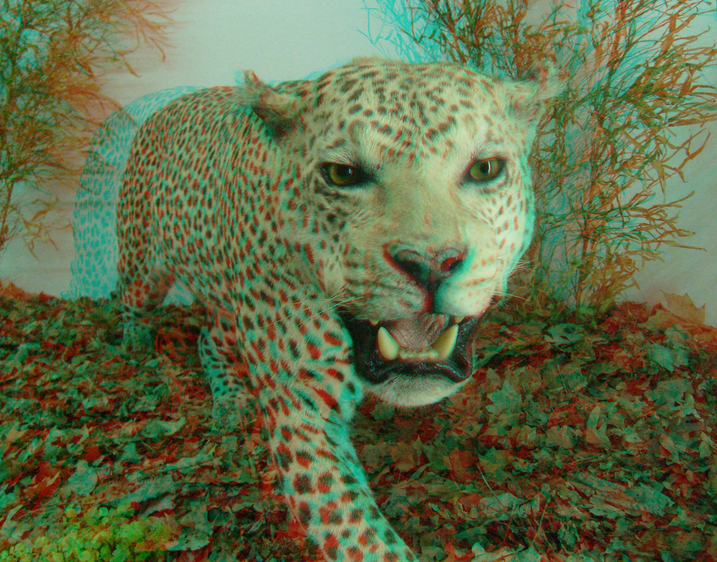 Photo 3D