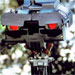 The Future of Artificial Intelligence