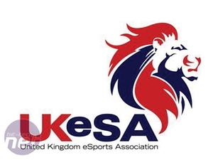 Does Professional Gaming Have a Future? UK and European organisations