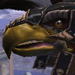 Success and Failure in MMOs