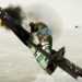 IL-2 Sturmovik: Birds of Prey Preview
