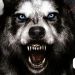 Dead to Rights: Retribution Review