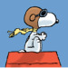 Snoopy Flying Ace Review