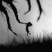 Limbo Review
