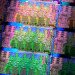 Intel Sandy Bridge Review