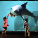 Investigating 3D Screens
