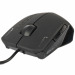 Roccat Kova+ Review