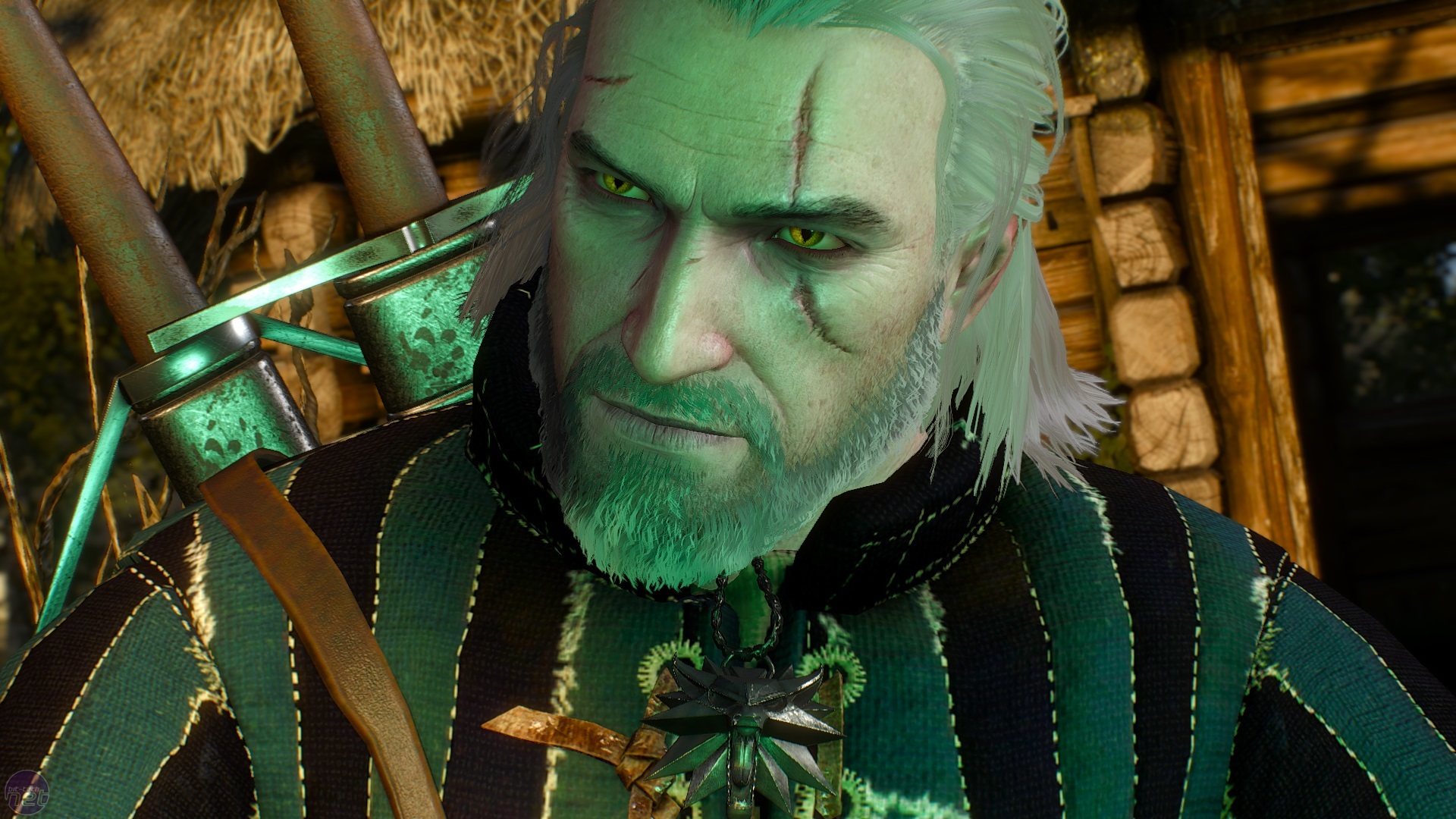 The Witcher 3: Wild Hunt (for PC) Review