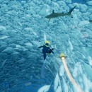 Abzû Review