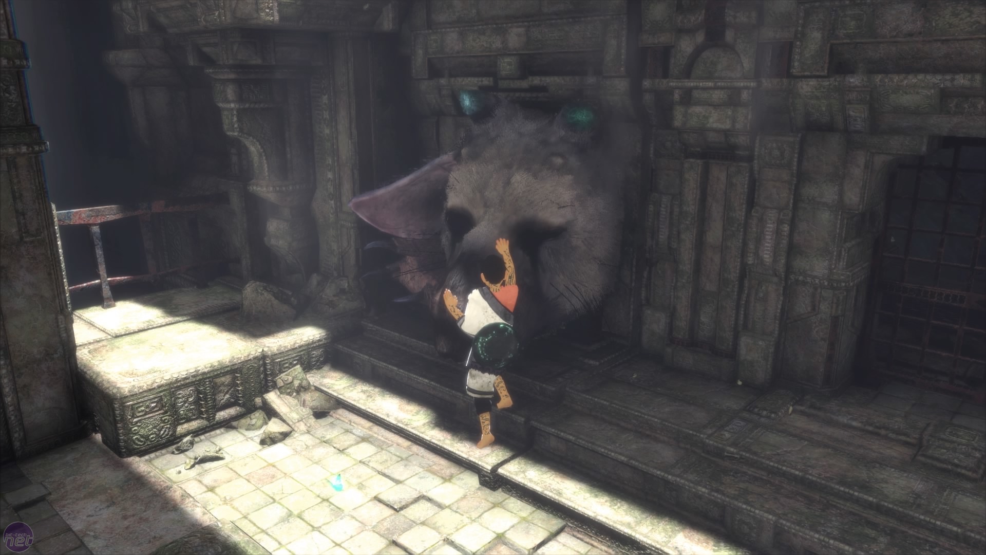 Review: 'The Last Guardian' Soars High On Broken Wings —