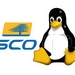 SCO Email warns of no copyright infringement