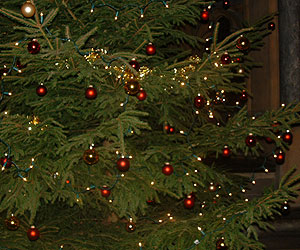 It's almost Christmas