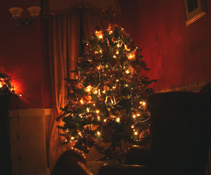 Have a wonderful Christmas!
