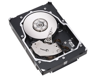 Seagate Cheetah 15K.4, superseded by the Cheetah 15K.5 - same 15,000rpm but now with Perpendicular Recording.