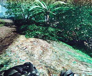 Mere stills cannot do Crysis justice.