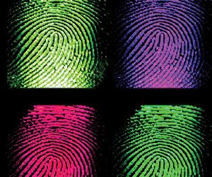 'Biometric' is a misnomer for the new passports. The German who cracked them thinks 'secure' might be, also.