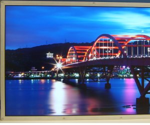 Meet the new neighbour - Samsung has the first LCD panel to feature a DisplayPort interface and a pretty picture!