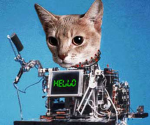 Sega Toys has teamed with Neurosky to develop mind-controlled robot pets for the world of tomorrow. 
