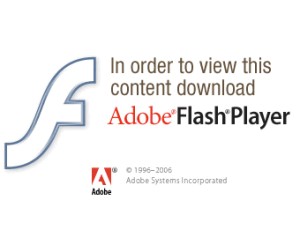 Perhaps this message should read "in order to get 0wn3d, download Adobe Flash Player."