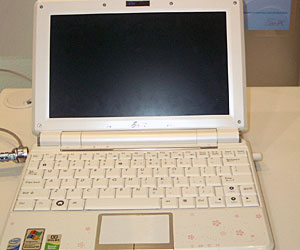 The 1000H Eee PC in white with some funky case flowers.