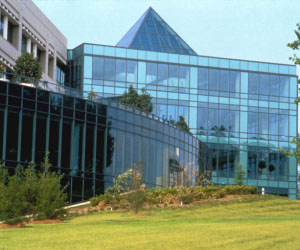 Cancer research goes open