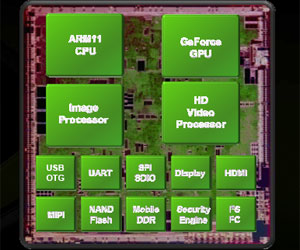 Tegra is a system on a chip with a whole host of connectivity options and multimedia features.