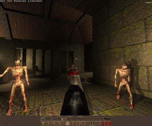 Carmack said no to Quake MMO