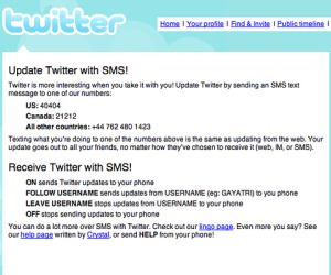 Twitter cans SMS service