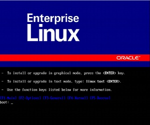 The code donated by Oracle and Emulex will help safeguard Linux systems against "silent data corruption" - or at least ensure it doesn't go unnoticed.