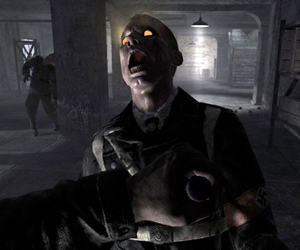 World at War DLC has made $70 million