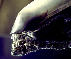 Aliens vs Predator demo now on Steam