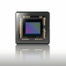 Sony looks to buy back Toshiba fab